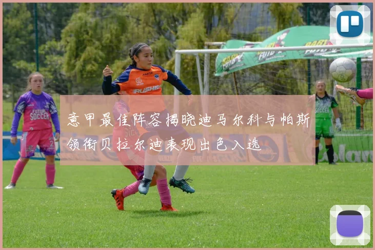 意甲最佳阵容揭晓迪马尔科与帕斯领衔贝拉尔迪表现出色入选