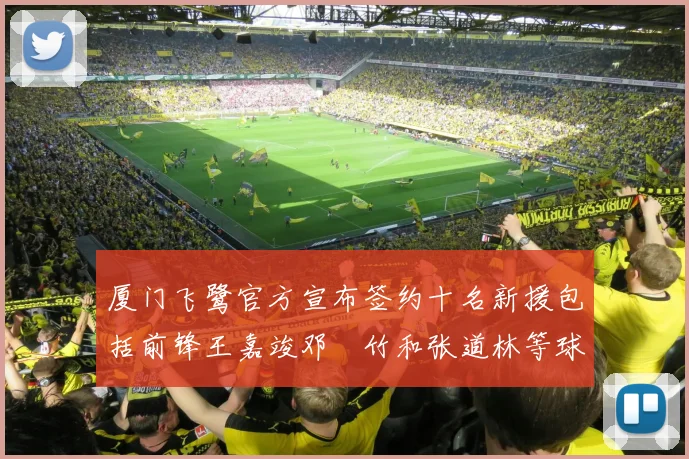 厦门飞鹭官方宣布签约十名新援包括前锋王嘉竣邓棽竹和张道林等球员